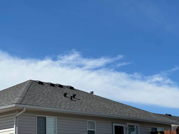 Best Roof Ventilation Installation  in Anson, TX